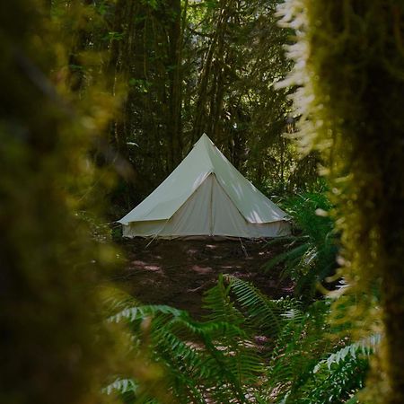 ホテル Olympic Glamping ポート・エンジェルス エクステリア 写真